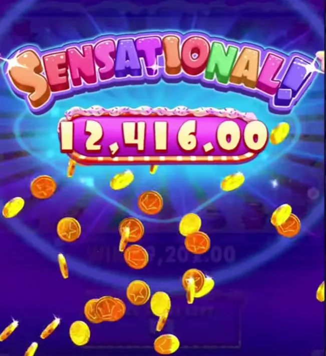 Plussat ja miinukset